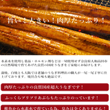 養殖から直送 うなぎのうめじ