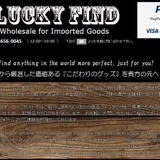 luckyfindwholesale's STORE