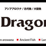J-Dragon