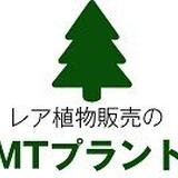 植物販売のMTプラント