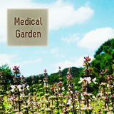Medical Garden