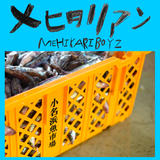 mehikariboyz's STORE