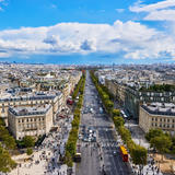 Mimosa Paris