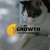 GROWTH