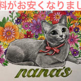 nana’s STORE