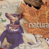 natural-b