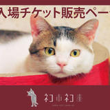 ネコ市ネコ座