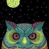 Nightowl Fabrics