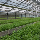 OMD Agri-net SHOP