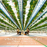 GREENARIUM STORE