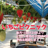 GREENARIUM STORE