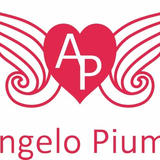 Angelo Piuma Online Store