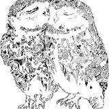 OWL online shop