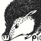 PECCARY BEER ONILE STORE