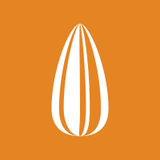 picolisco shop