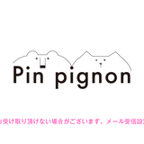 Pin pignon