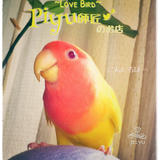 piyu師匠~LoveBird~