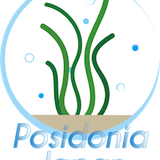 Posidonia Japan