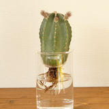 POT&VASE