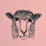 Pull the Wool