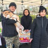 SHIBA'S STORE