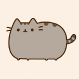 Pusheen Online Store