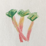 rhubarb