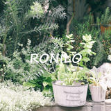 RONILO