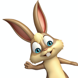 HANNA