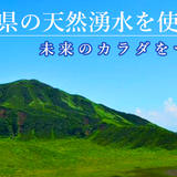 sansuistores