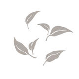 SaTerra公式オンラインストア