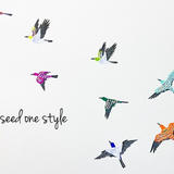 seed one style
