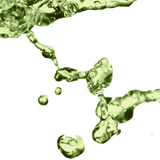 seifudo
