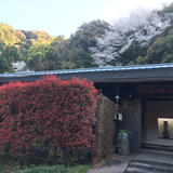 ギャラリー花伝