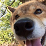 佐賀で筋トレ!カリフォルニア