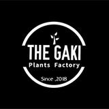 Plants Factory THE GAKI