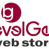 BevelGear Web Store