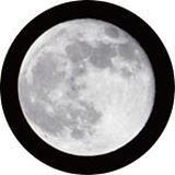 LANDS ON MOON STORE