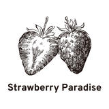 StrawberryParadise STORE