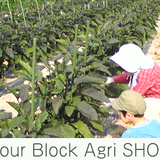 Four Block Agri SHOP by sundals.net