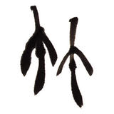 竹ノ輪商店