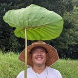 てるうさファーム