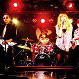 thekingsnakes