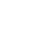 TRANSITION SHIBUYA