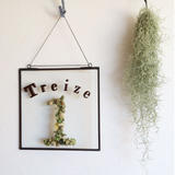 Treize1