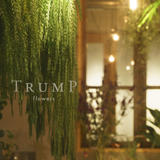 trumpflowers STORE