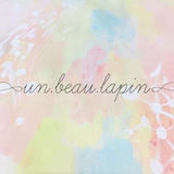 ∞ un. beau. lapin ∞