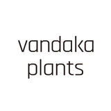vandaka plants