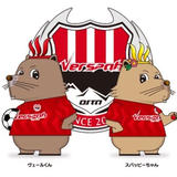 VERSPAH OITA