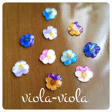 viola-viola
